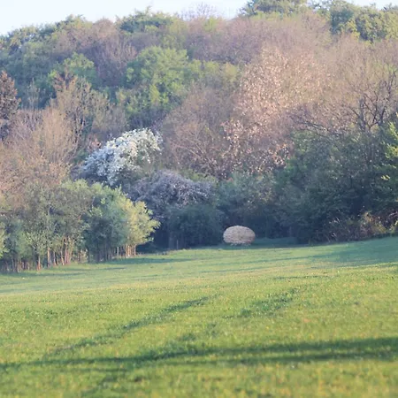 Am Hainich Ferienhaus *