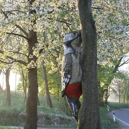 Σπίτι διακοπών Ferienhaeuser Am Hainich *