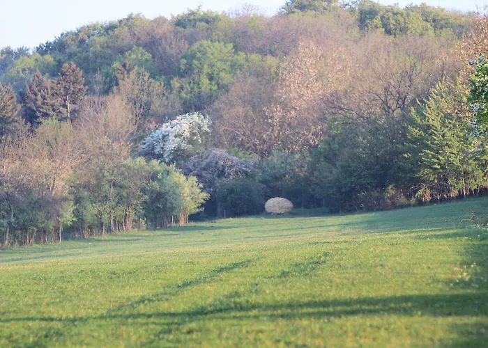 Ferienhaeuser Am Hainich Σπίτι διακοπών *